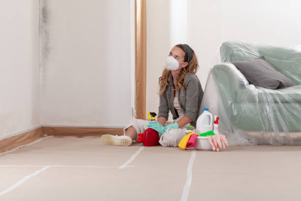 Reliable Mold Inspection And Testing contractor in Fountain, CO by Mold Remediation HQ